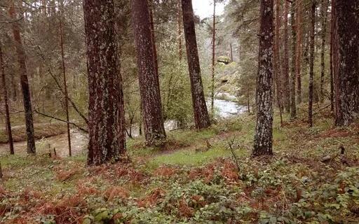 Liminal Prayer - Day 1