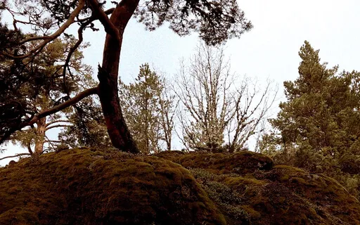 Liminal Prayer - Day 11