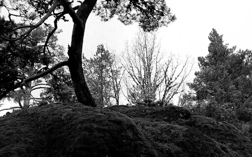 Liminal Prayer - Day 12