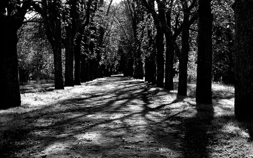 Liminal Prayer - Day 17