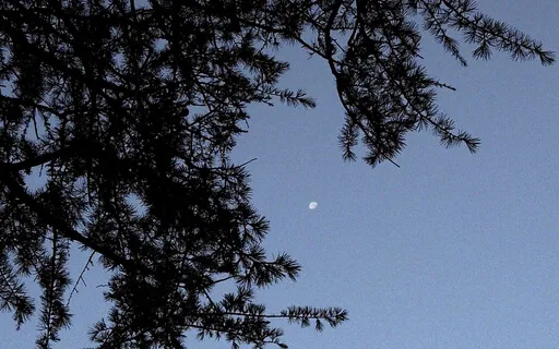 Liminal Prayer - Day 19