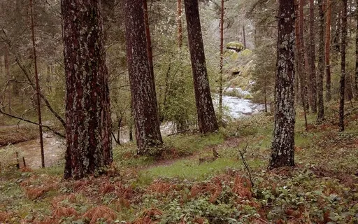 Liminal Prayer - Day 2