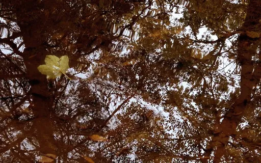 Liminal Prayer - Day 22