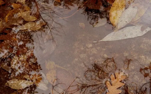 Liminal Prayer - Day 23