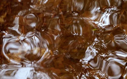 Liminal Prayer - Day 24