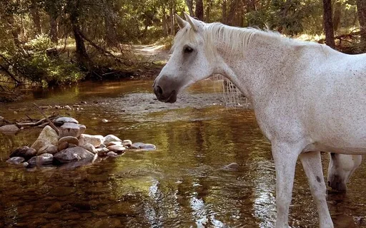 Liminal Prayer - Day 25