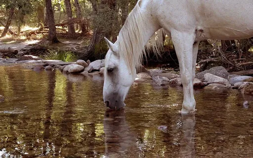 Liminal Prayer - Day 26