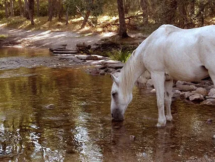 Liminal Prayer - Day 27