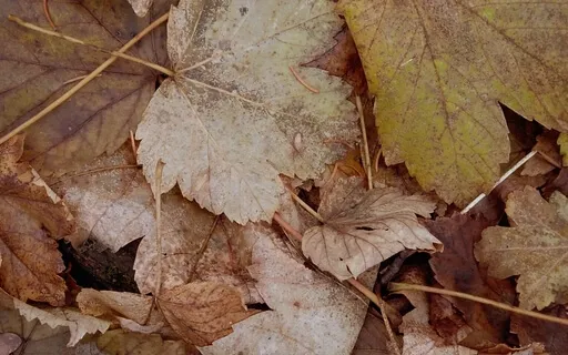 Liminal Prayer - Day 37