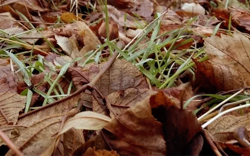 Liminal Prayer - Day 38