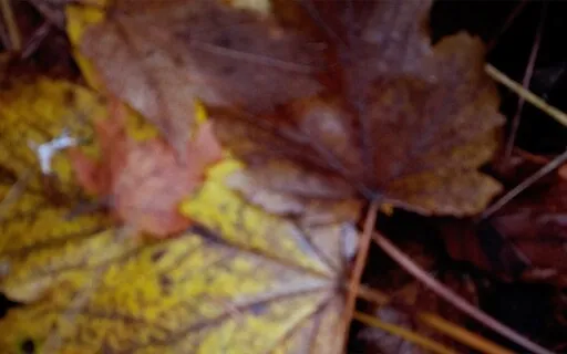 Liminal Prayer - Day 39