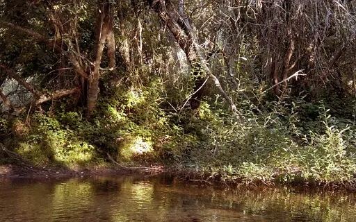 Liminal Prayer - Day 4