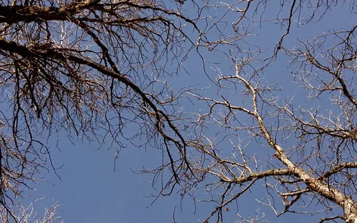 Liminal Prayer - Day 40