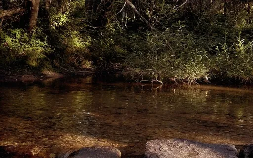 Liminal Prayer - Day 5