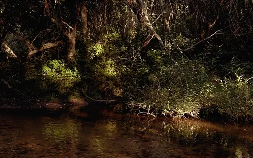 Liminal Prayer - Day 6