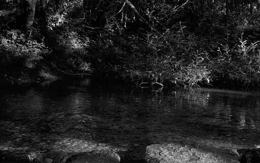 Liminal Prayer - Day 7