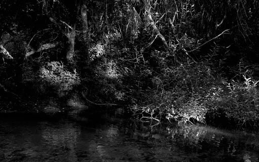 Liminal Prayer - Day 8