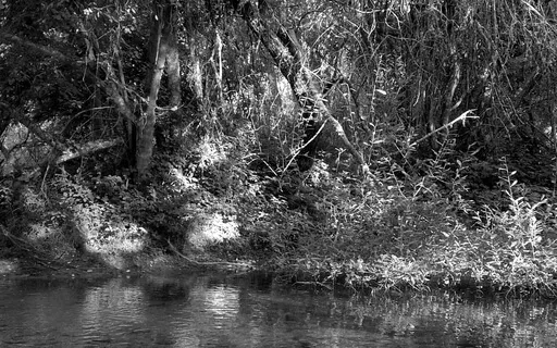 Liminal Prayer - Day 9