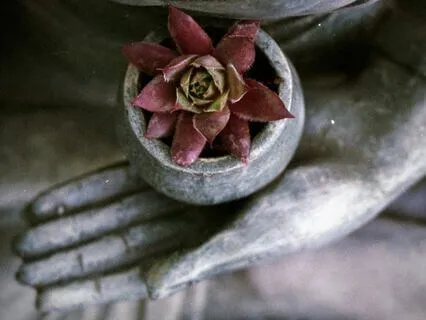 Limitations & Radical Acceptance