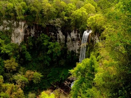 Límites (Poem by Borges)