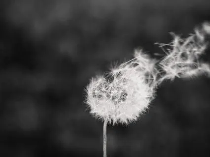 Limiting Belief Breakthrough Breathwork