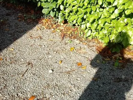 Get Free Of Old Limiting Beliefs Meditation 25-Minutes