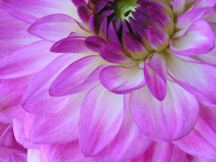 Limitless Mind: Music For Cognitive Enhancement