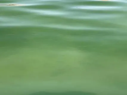Limpa emoções e relaxa a mente