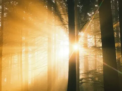 Lingering Light – Healing Harp Music (Solfeggio 852 Hz)