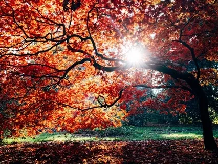 Linking The Aura To Your Life