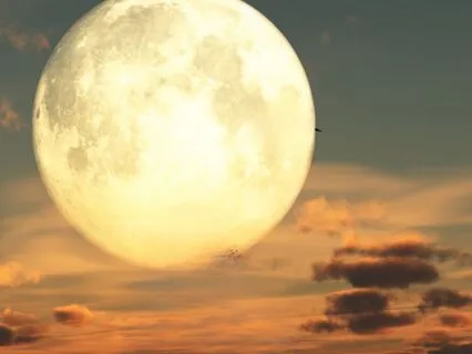 Full Moon Lion’s Gate Healing & Manifestation