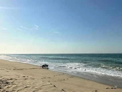 Lion's Gate Portal 8/8/26 — Nantucket Ocean