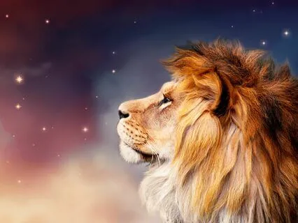 Lion's Gate Portal Activation