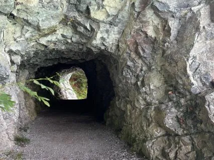 Lion's Gate Portal Yoga Nidra | 8/8