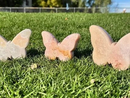 Lions Gate 8/8 Meditation For Abundance + Manifestation