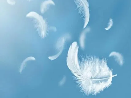 Lions Gate Meditation