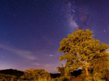 Lion's Gate Portal Manifestation Affirmation