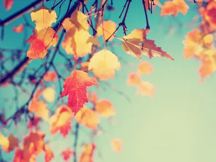 Lion's Gate Portal Sound Activation