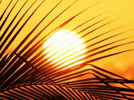 Lions Gate Portal With Sun Frequency 126.22 Hz