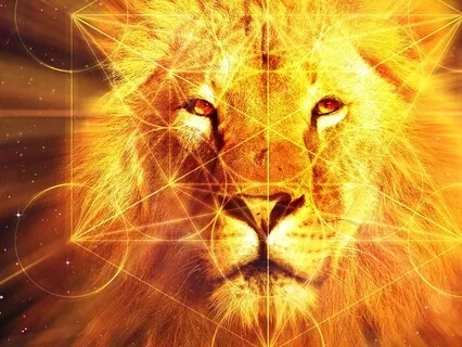 Lionsgate Heart Seed Activation