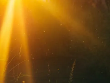 Liquid Sunshine Body Scan