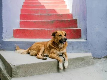 Listed Everyone We Hurt, And Became Willing To Make It Right