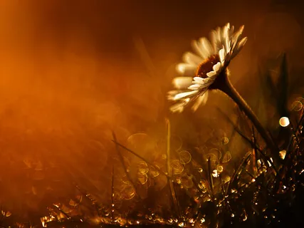 Listen Consciously - The Art Of Pure Listening Exemplified