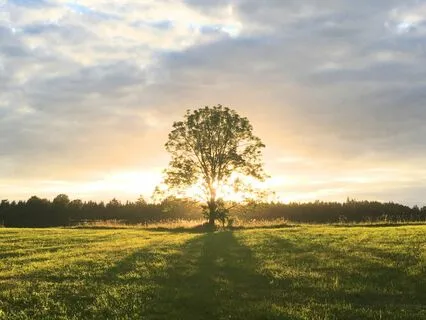 Listen Deeply For Your Life Purpose