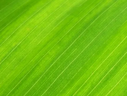 Listen Deeply, Heal What Hurts