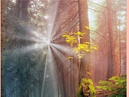 Listen For Your Wholeness