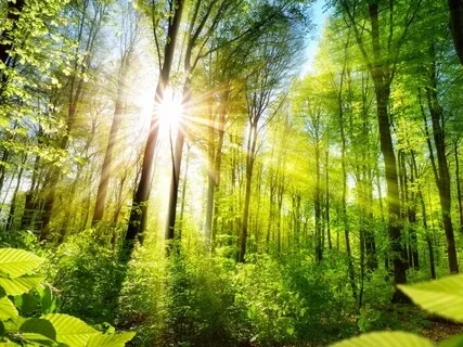 Listen To Begin To Feel Emotional Clarity