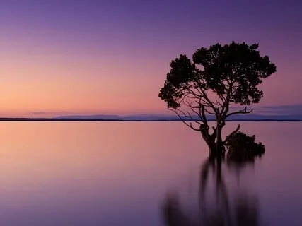 Listen To The Silence