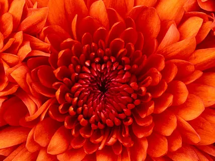 Listen To The Voice Within