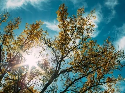 Listen To This Message If You Are About To Give Up Your Dream